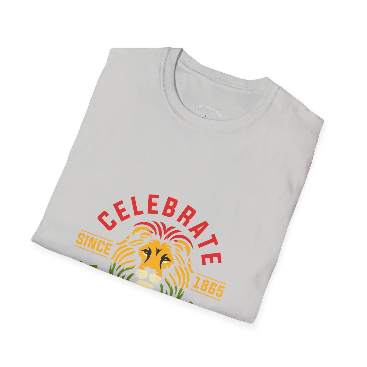 Juneteenth Celebration T-Shirt, Unisex Tee, African American Heritage Shirt, Pride Apparel, Black History Month, Gift for Activists