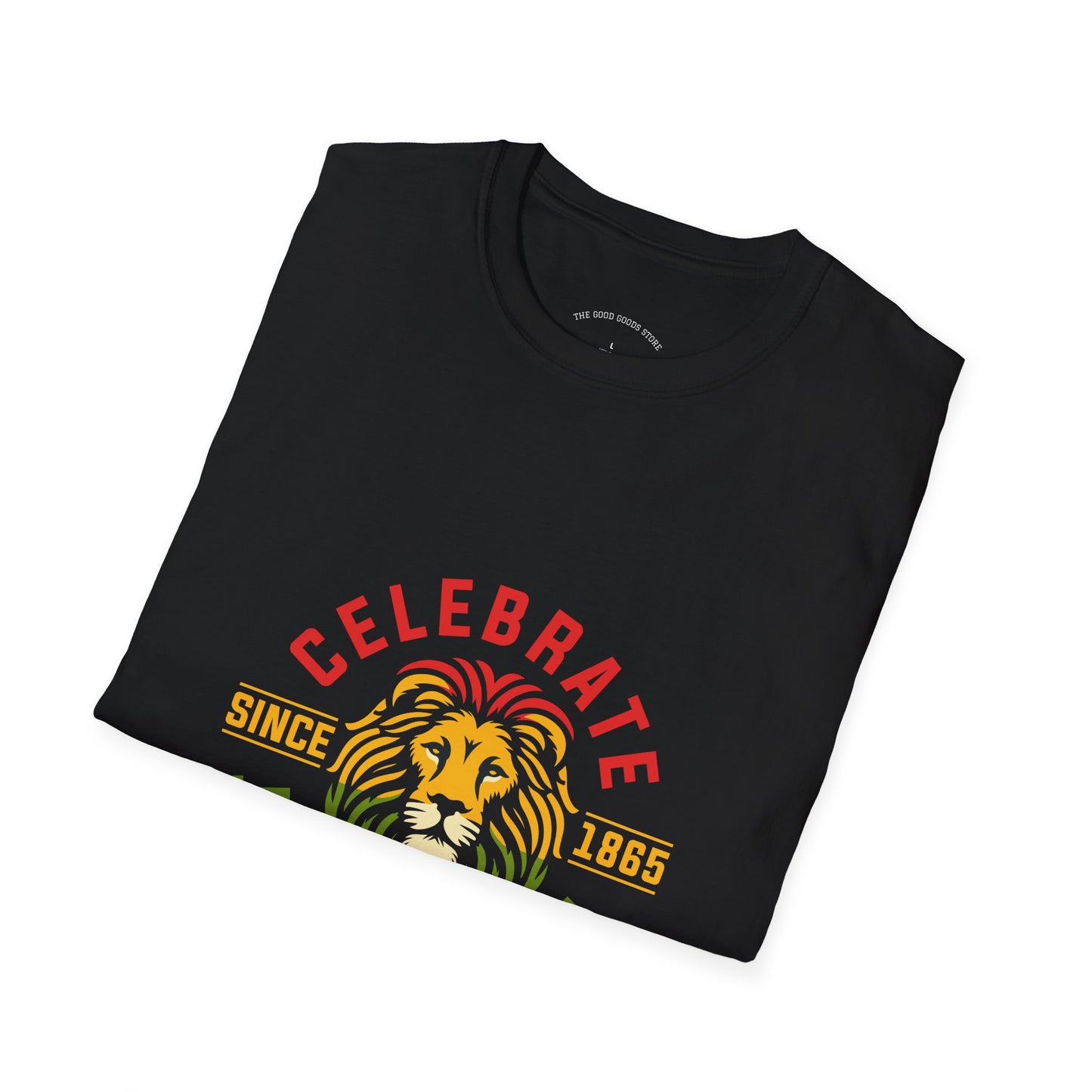 Juneteenth Celebration T-Shirt, Unisex Tee, African American Heritage Shirt, Pride Apparel, Black History Month, Gift for Activists