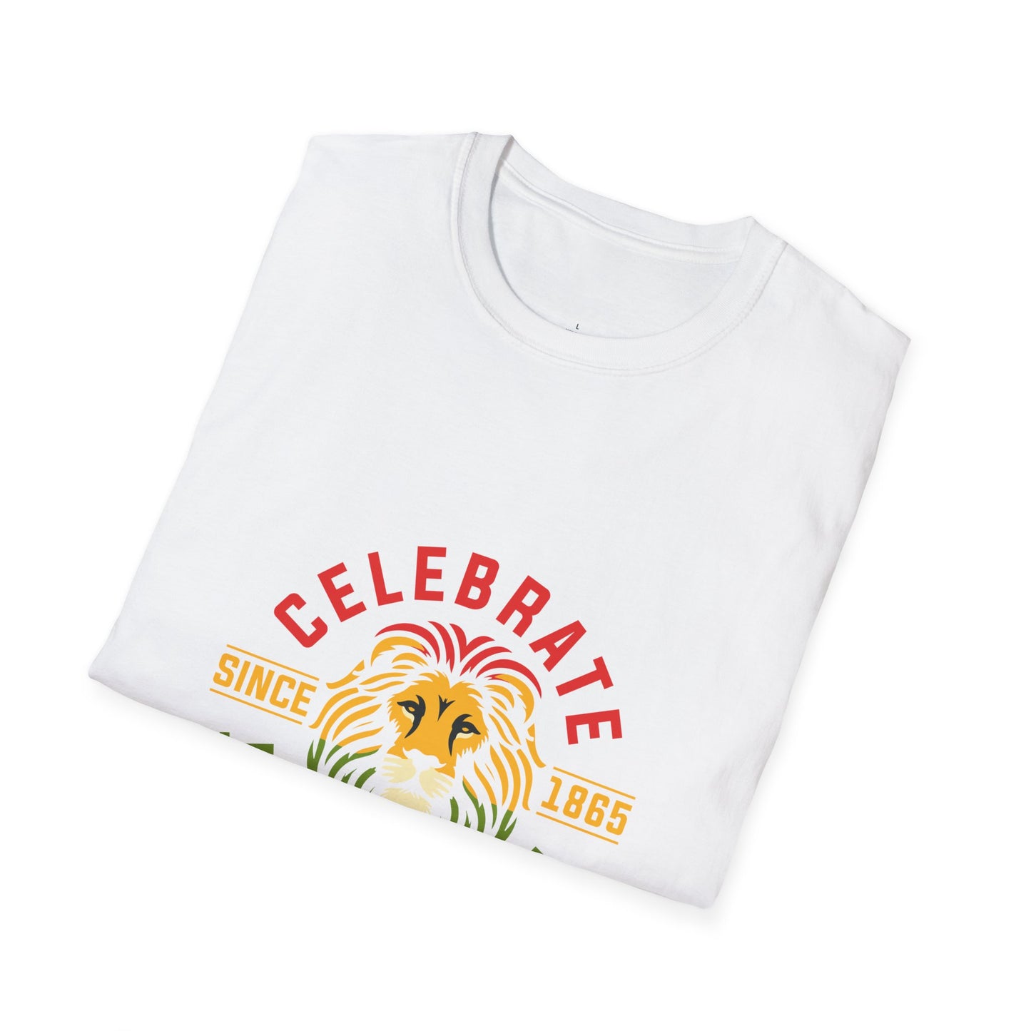 Juneteenth Celebration T-Shirt, Unisex Tee, African American Heritage Shirt, Pride Apparel, Black History Month, Gift for Activists