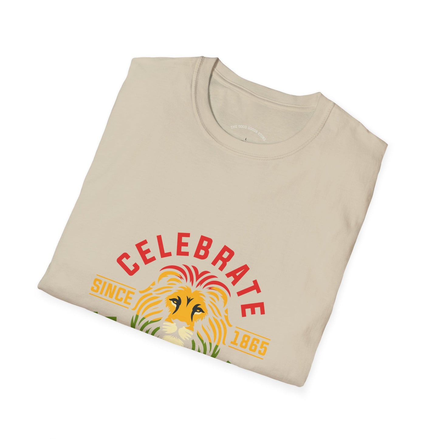 Juneteenth Celebration T-Shirt, Unisex Tee, African American Heritage Shirt, Pride Apparel, Black History Month, Gift for Activists