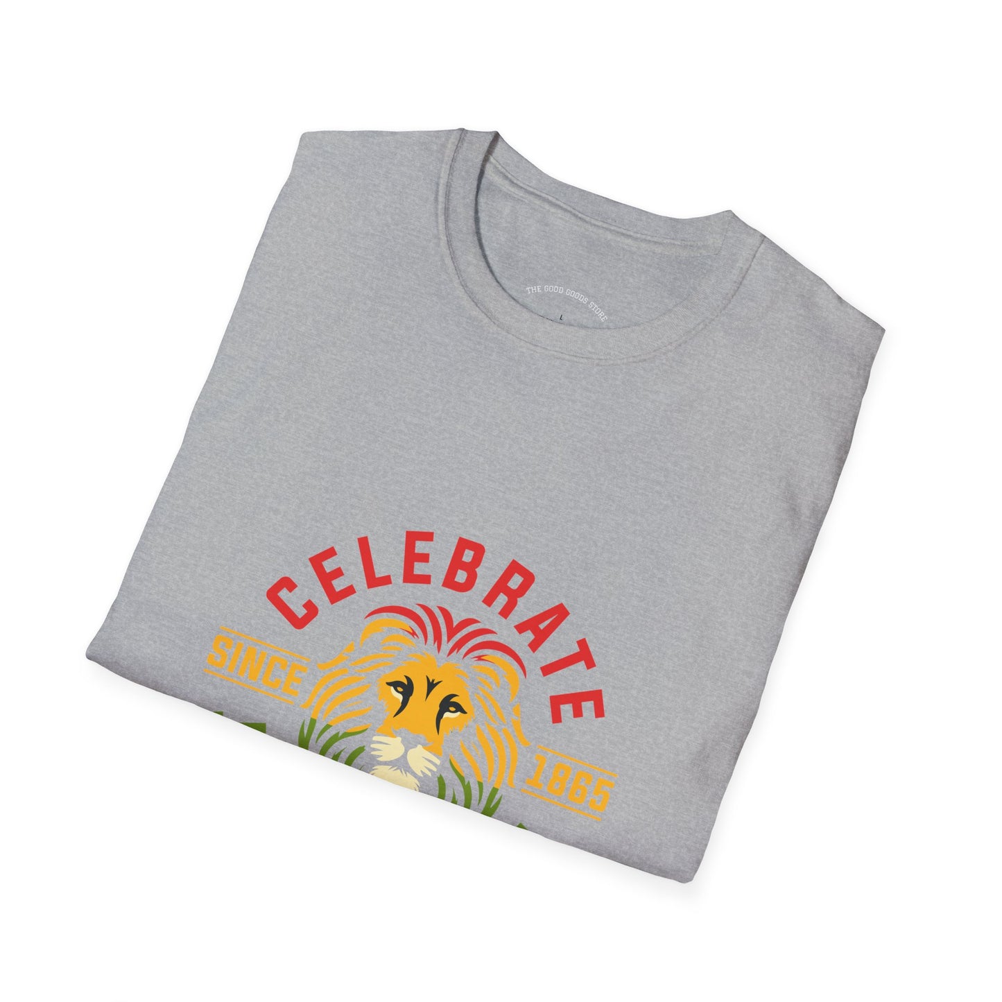 Juneteenth Celebration T-Shirt, Unisex Tee, African American Heritage Shirt, Pride Apparel, Black History Month, Gift for Activists