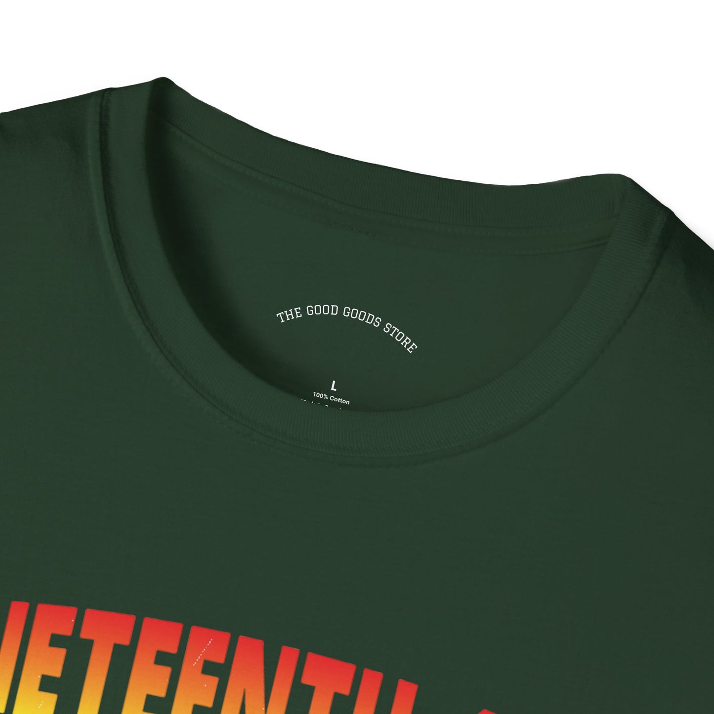 Juneteenth Freedom T-Shirt, Black Lives Matter Shirt, Equality Tee, African Heritage Apparel, Celebratory Event Clothing